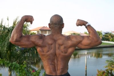 Mandingo - Gay Escort in New York , US
